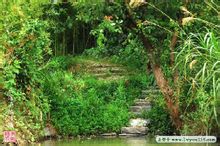 千龙湖国家湿地公园 千龙湖国家湿地公园